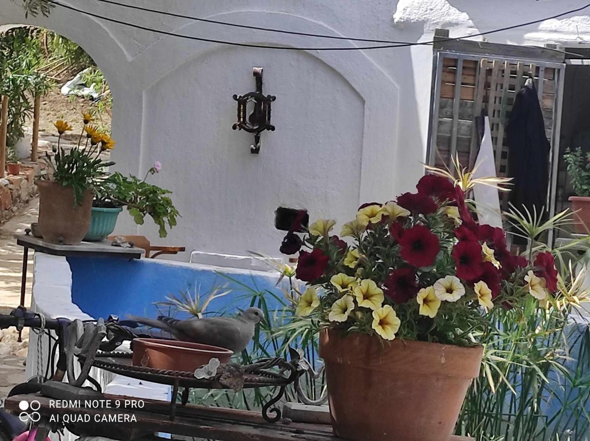 Gabriellas Garden Palaiokastro  Ngoại thất bức ảnh