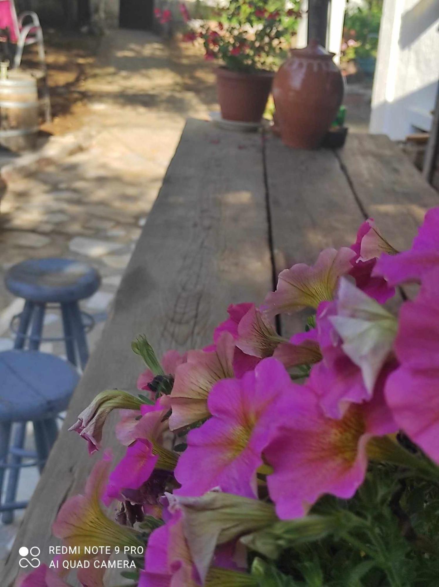 Gabriellas Garden Palaiokastro  Ngoại thất bức ảnh