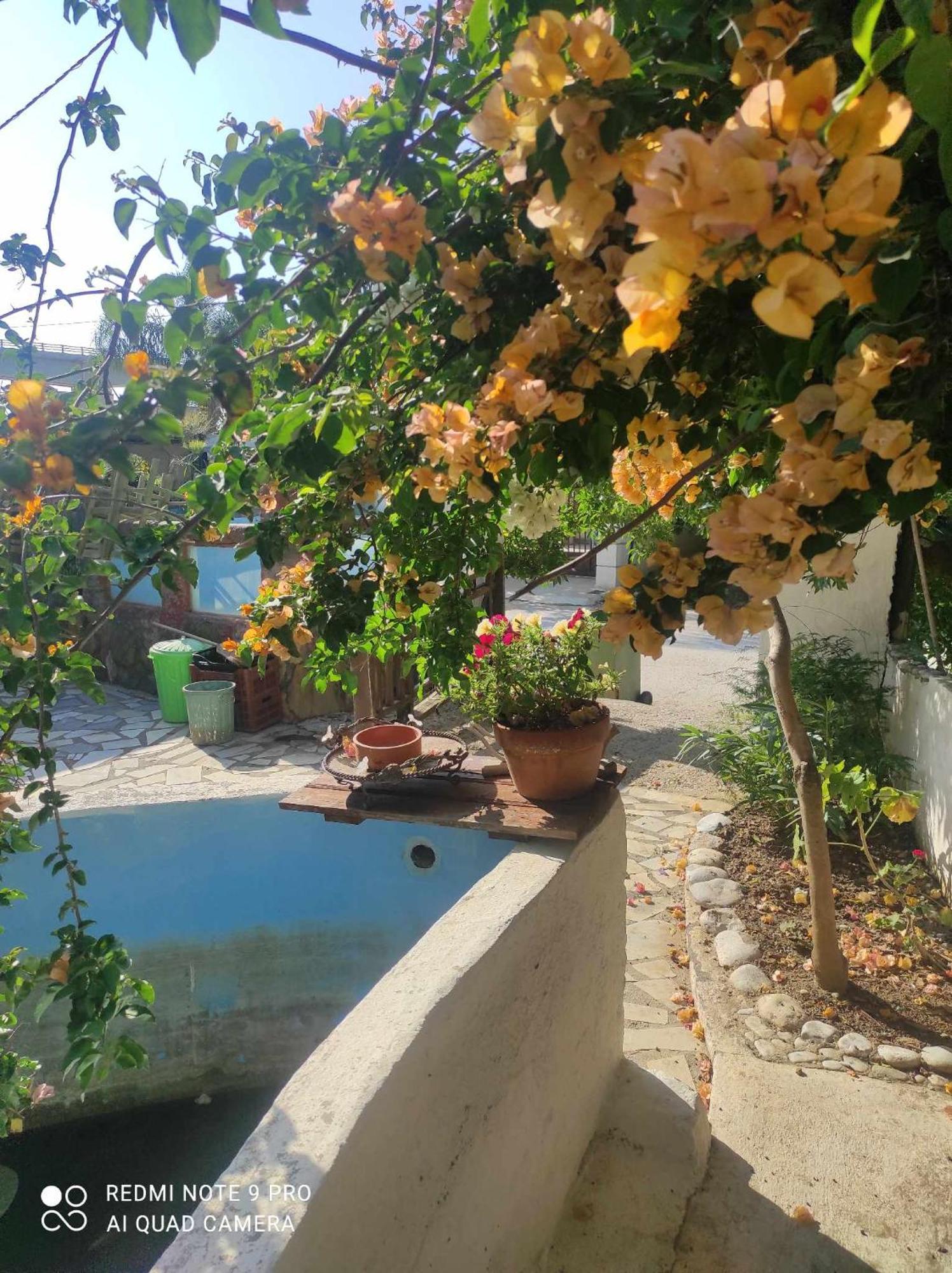 Gabriellas Garden Palaiokastro  Ngoại thất bức ảnh
